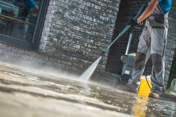 Best Animal Enclosure Cleaning  in Vero Beach, FL